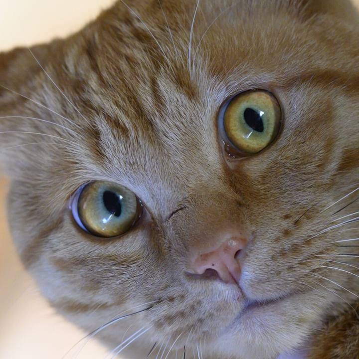 D2b7d7b1 f302 46ad aae4 06f04895b303 1557010904601