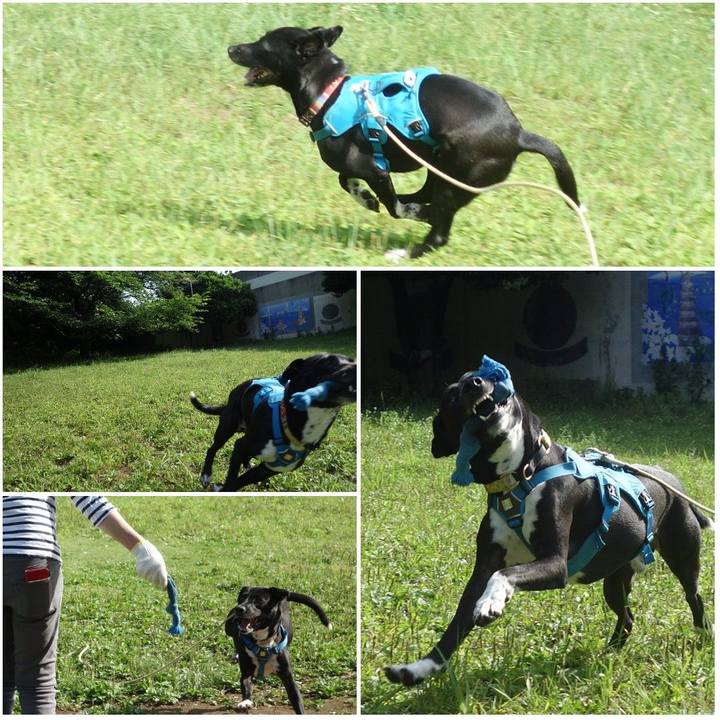 D2b7d8f0 8057 4160 894c 82905a207da7 1621987657592