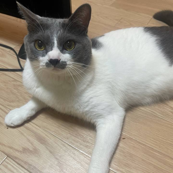 D2b836af 9c31 4e4e b5f5 b78e4beb9a5d 1625951845899