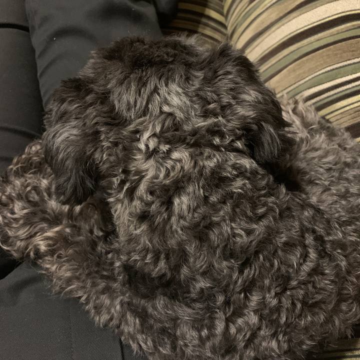 D2b83785 c9ef 4a0b 9b5a e4c023f81a87 1594782461638