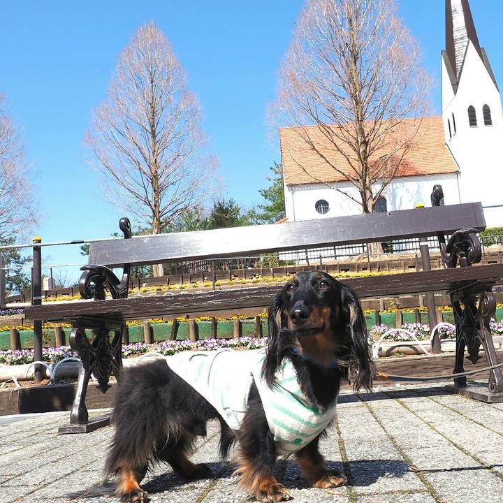 D2b877d8 a969 4f73 979c eaa9dc78a263 1521269382689