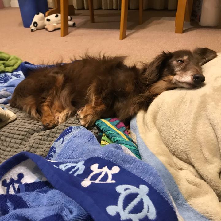 D2b8a4d0 bfb9 4d11 8c77 7f9568bdb2eb 1574238694690