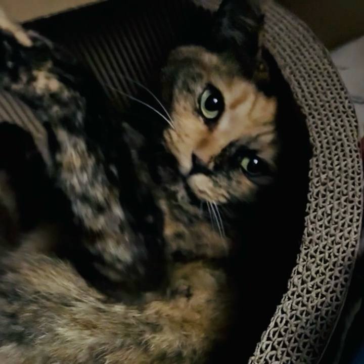 D2b8b93d 5456 4eae a8bc 274bb07c5ae0 1758399105092