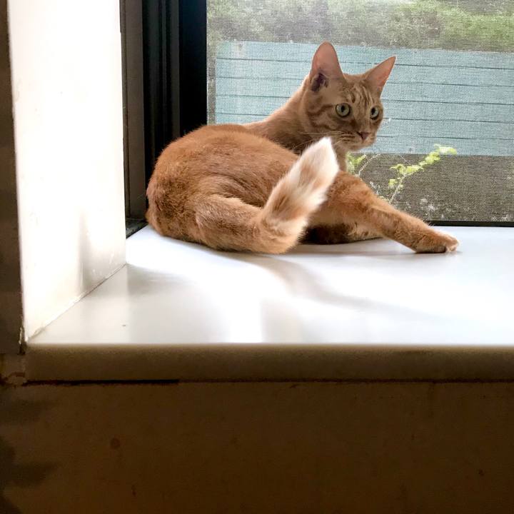 D2b8eb2a 84b9 4354 b83f a1d6ba8477e7 1537778304033