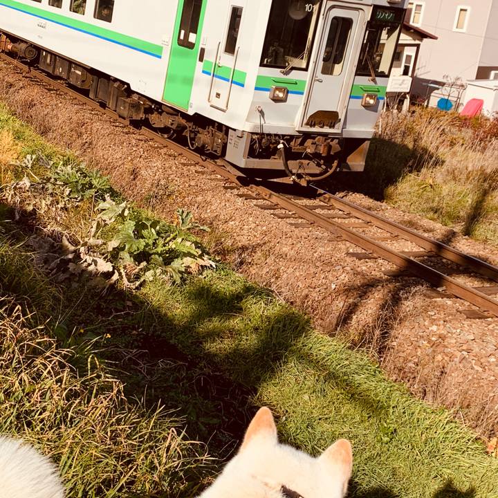 D2b8ec31 056a 4f6c a530 35813d61e8c2 1573087956259