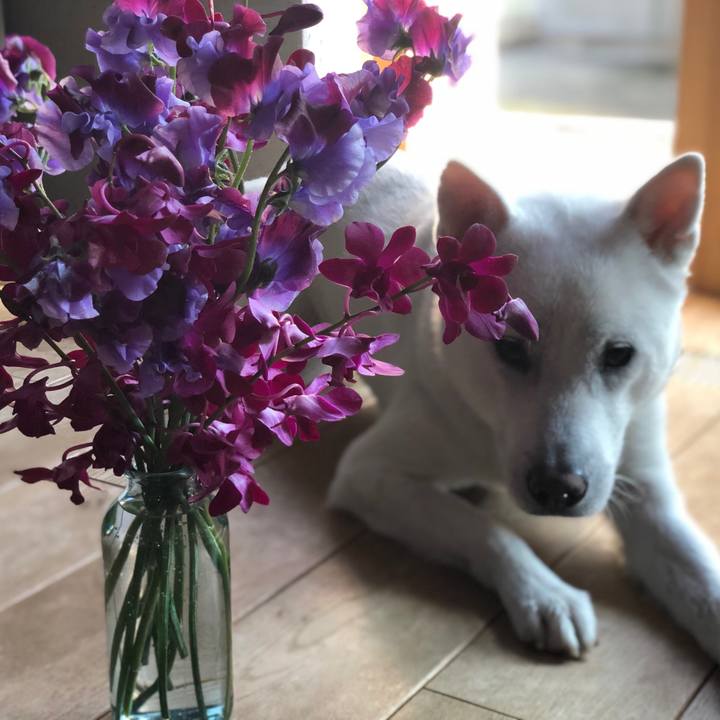 D2b9339a 7e16 45a4 aa0d 0672dce1d1b1 1582115697356