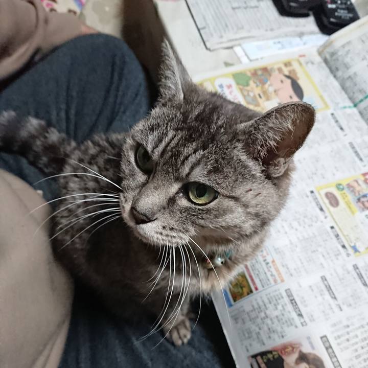 D2b94ae6 294e 4723 9626 d5aacddb5575 1577745001215