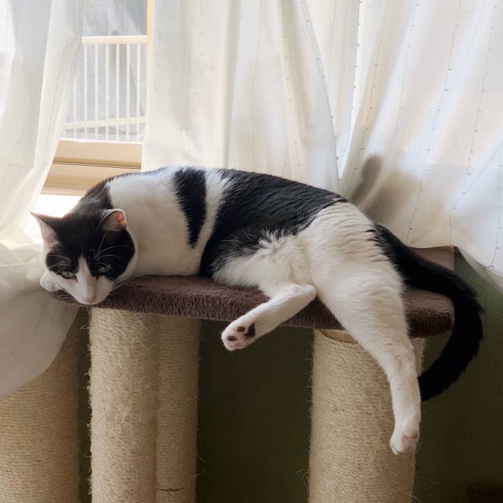 D2b97ca5 640c 4046 9409 c00218dcced5 1541125084616