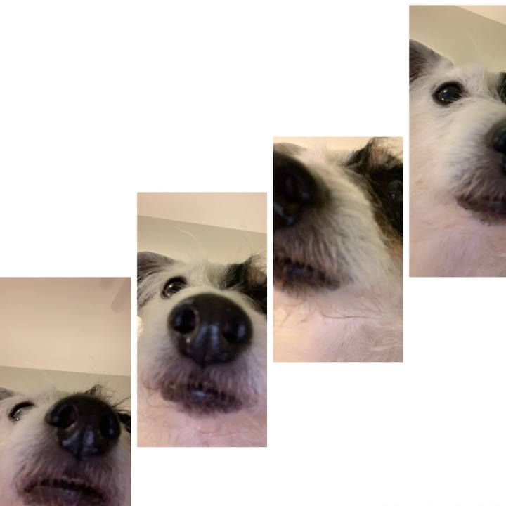 D2b99573 02cd 45bd b1b0 69051a54bb19 1712922512513