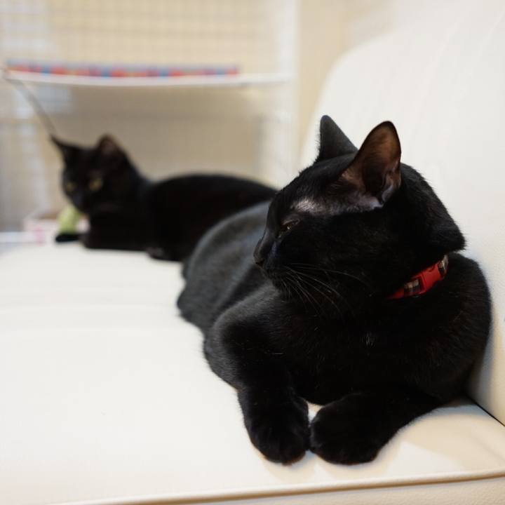 D2b9d55a 8c2f 48ea 9a1c 8b350d1f32f6 1539215207647