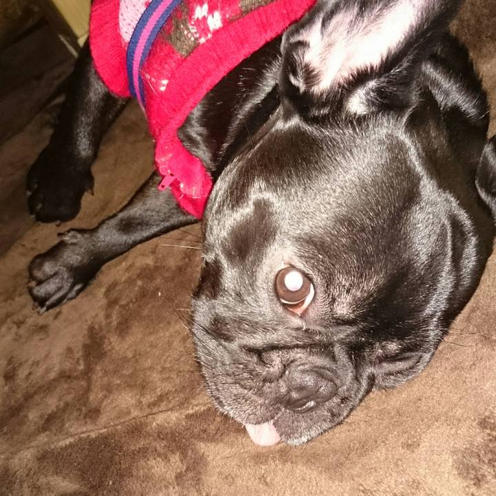 D2b9dadf 479a 4567 9af8 859b0a59e64d 1519303545471