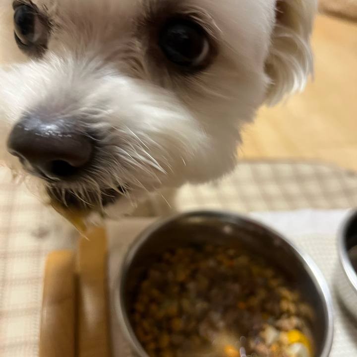 D2b9dc62 e14c 4003 a065 02b75ff92068 1652433636842