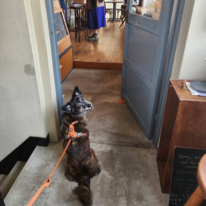 D2b9e927 4ec9 4645 9ceb e2a111f6e415 1681455968057