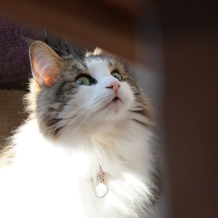 D2ba0956 d9e8 46e8 85fe ec01b877ef21 1549269138882