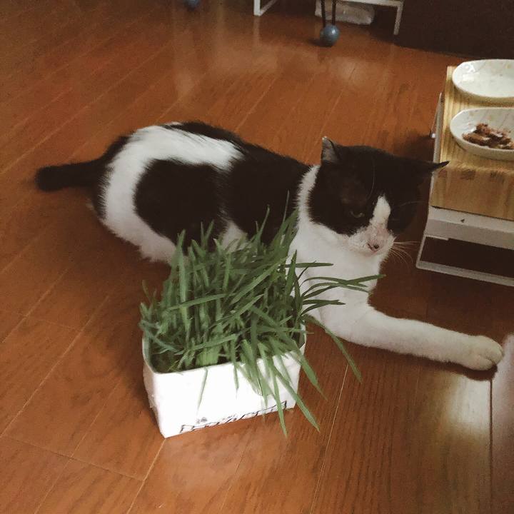 D2ba17be 1d29 4468 bc75 68af962eff7f 1626947908745