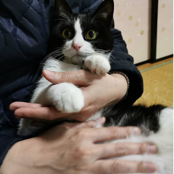 D2ba250c ca08 4fba 8026 97d16d4c1b2d 1641627779216