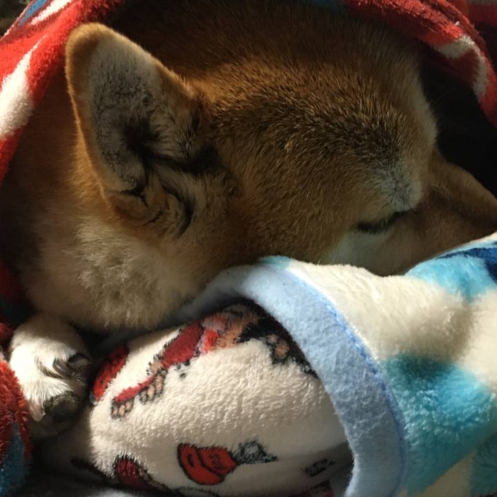 D2ba5d7d b877 4852 8e91 d8359b99f2bb 1583320196285