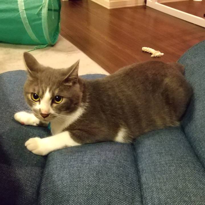 D2ba7f34 095d 46b8 9f2c 4923b2107ce7 1599210666258