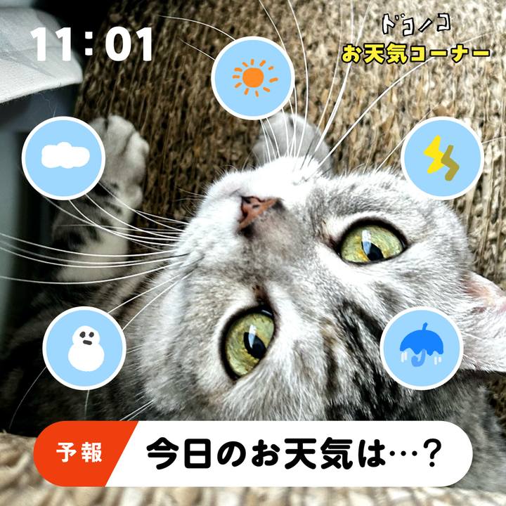 D2ba8903 495c 4133 827a 3df06969fc71 1781658898823