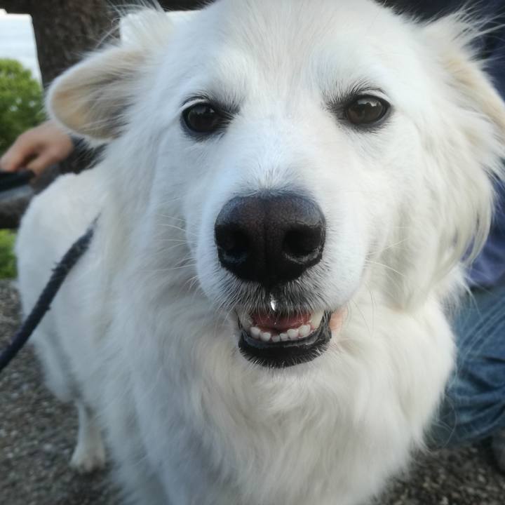 D2baa1d0 76a8 4abd b293 7b13b791c502 1524914323597