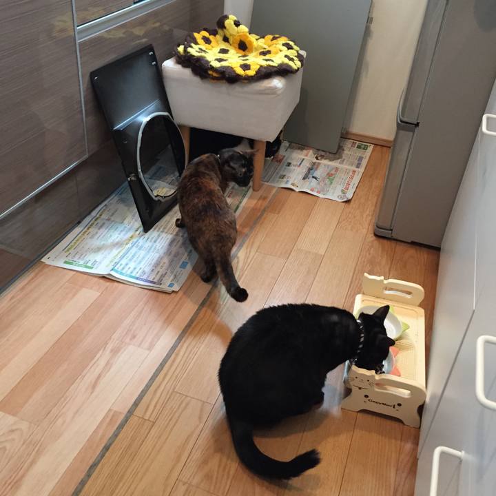 D2babb2c 3b5c 4c8d afa2 ce22b90b29ae 1514540108578