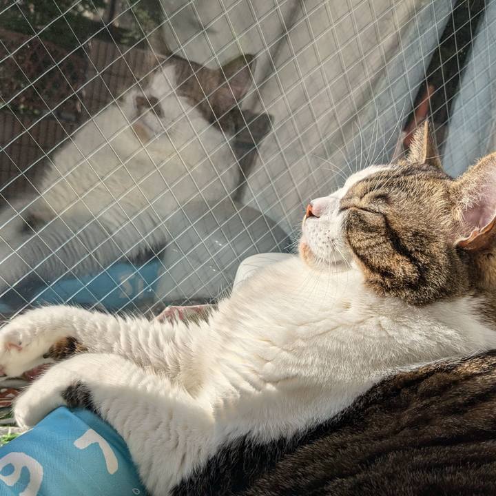 D2bad14a 1e40 4e6b 9944 b40de47e1864 1733031028603