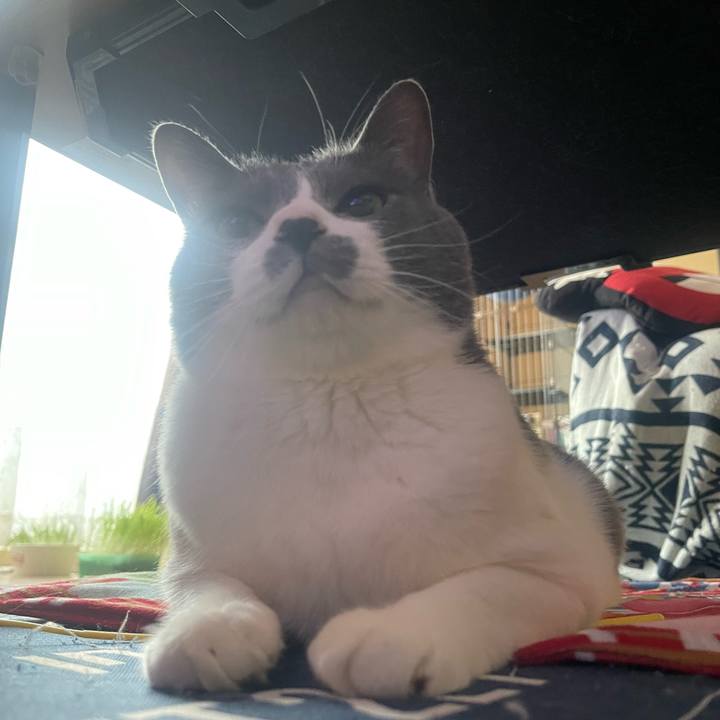 D2bad7a4 9af7 4178 b515 2df805eca89e 1746050241032