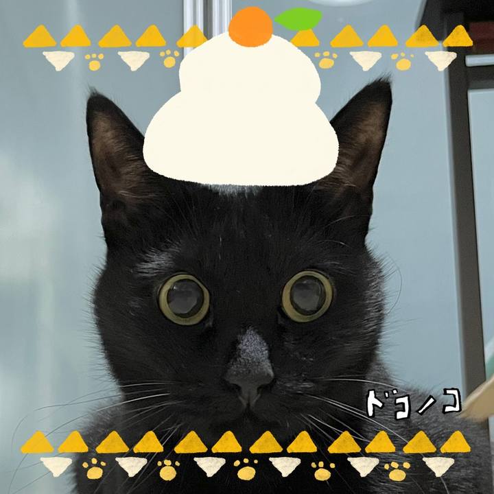 D2bafed6 d35a 4c27 97f2 aa8bae1519c6 1704068011286