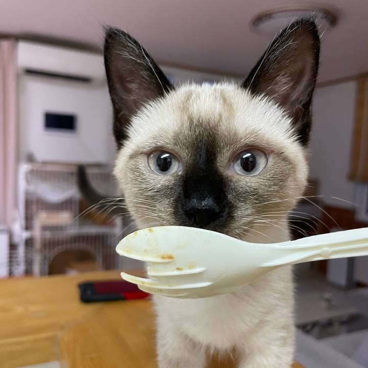 D2bb1d34 1251 490d 8181 8c111a04e6c7 1690746746268