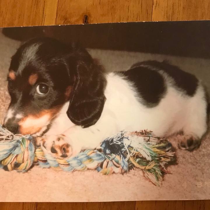 D2bb2ec4 c5cb 45e3 90fc 5df2dcbe43bc 1525309743870