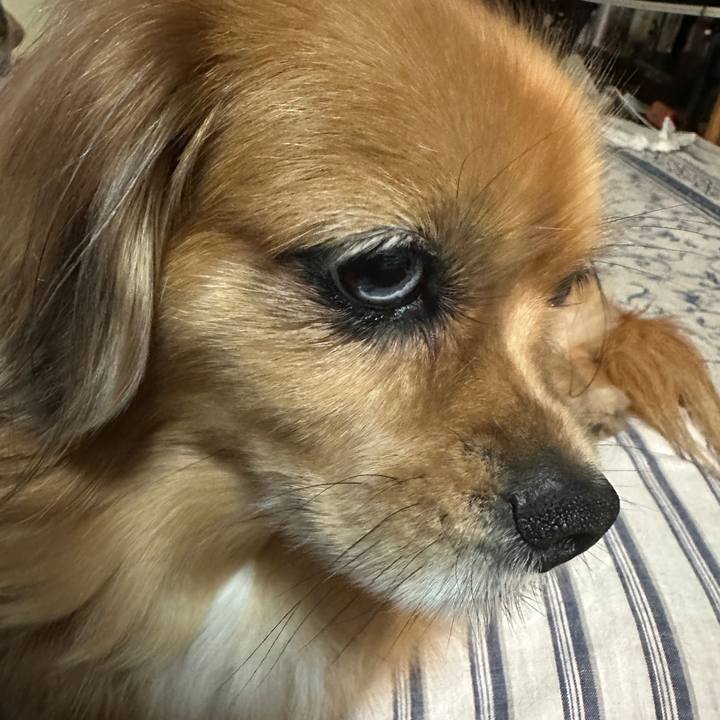 D2bbec4b 361e 4aae b13b ac08da44357d 1697749782714