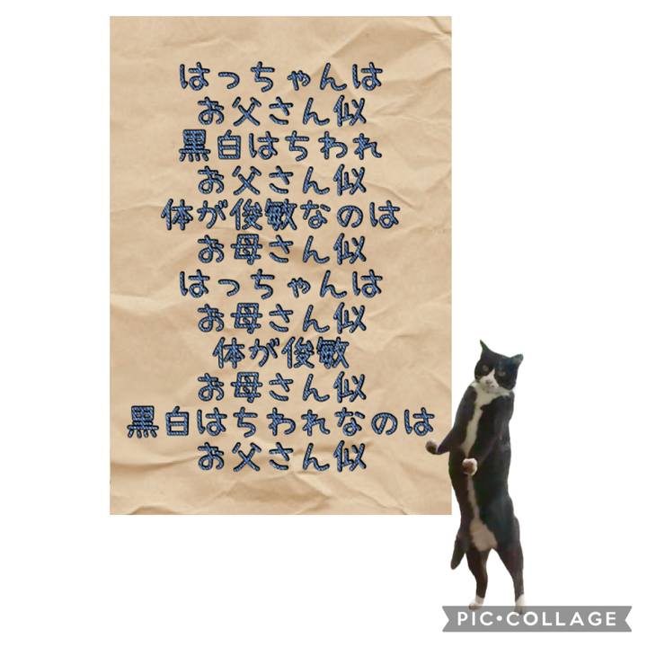 D2bc3525 da6e 4525 b95d 22a5da50d47c 1747941671077