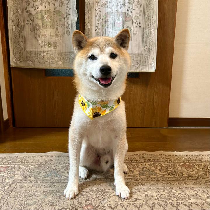 D2bc4177 bd99 469d 91ab d6242a33ee13 1751368688195