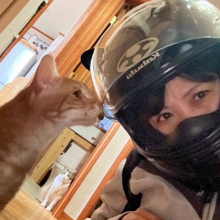 D2bc7d50 7dbb 47bb 84c9 b73720fdfac3 1689922837565