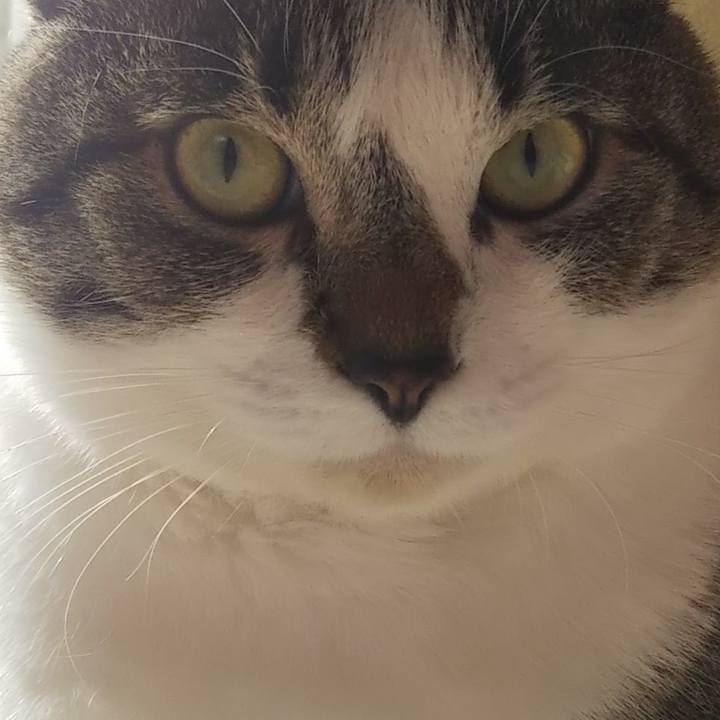 D2bc8469 b718 4c27 b702 6bcc2f206659 1610849254679