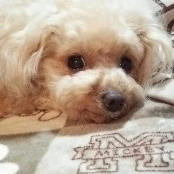 D2bc9fd8 9bca 470d bdb1 4b05e291b98a 1551874084847