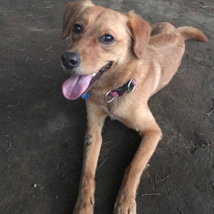 D2bca732 d3ac 4309 892b b2bddc2d9553 1531141743672