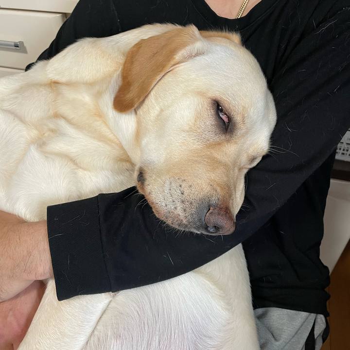 D2bcf2ef b5b0 4d7f a6ac 30c18cf149bc 1650501329208