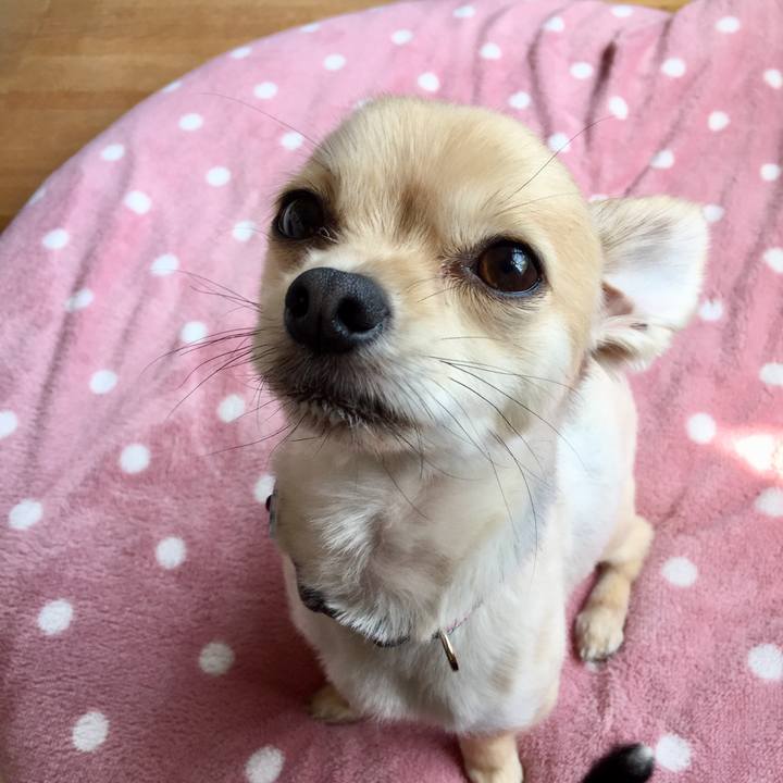 D2bd0961 650e 4fe7 9360 953af0d67e95 1522469412167