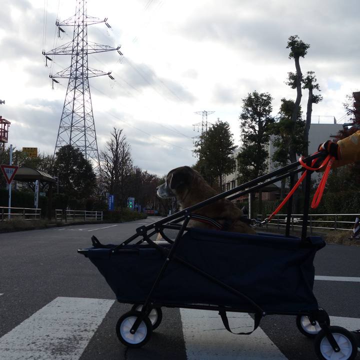 D2bd119e c1d5 4f7e 8ce0 59c8cb431f7b 1575159482063