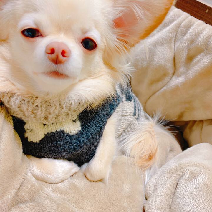 D2bd3834 cdd3 48a9 ab5a 31c18e0524f6 1641551567215