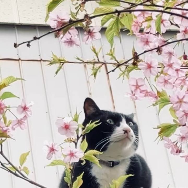 D2bd40a8 df11 4442 bd91 eadf8e1e5d65 1741831281105