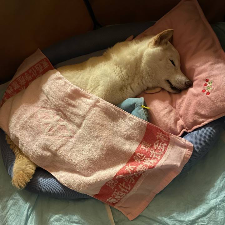 D2bd6e1c edf2 4bdc a117 f8f7afa4e597 1659814094180