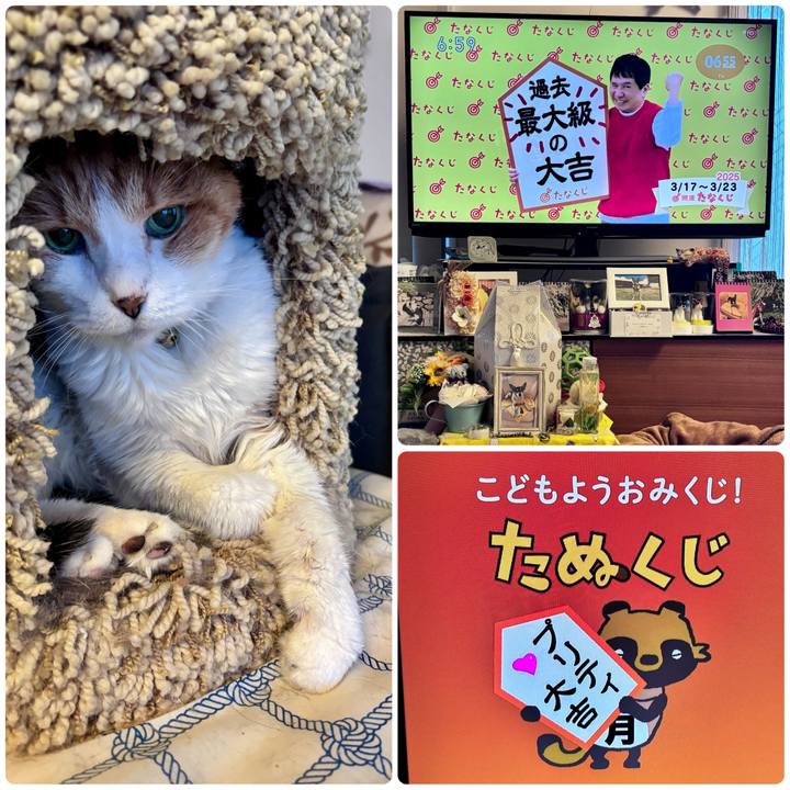 D2bd7ef4 e5be 4be0 8e23 89bd6dee27a0 1742162843576