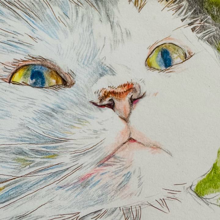 D2bd9d47 3709 452d ac2e b7c7662f7780 1756763761403