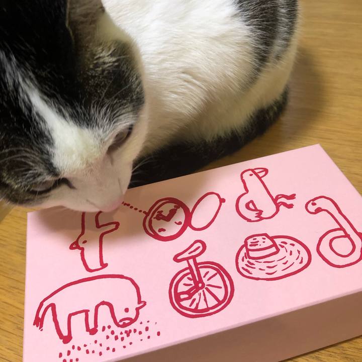 D2bda1cc e39a 4a12 ab18 8e426a7c4d6e 1714391640608