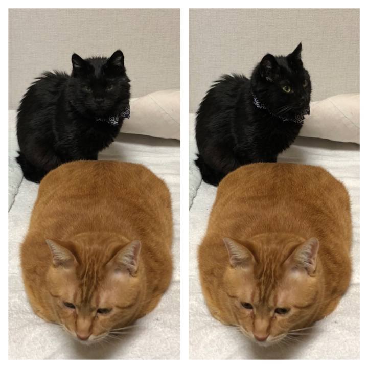 D2bdc3ab 689c 4ee2 ab49 bf0921dc3ea1 1615465508437