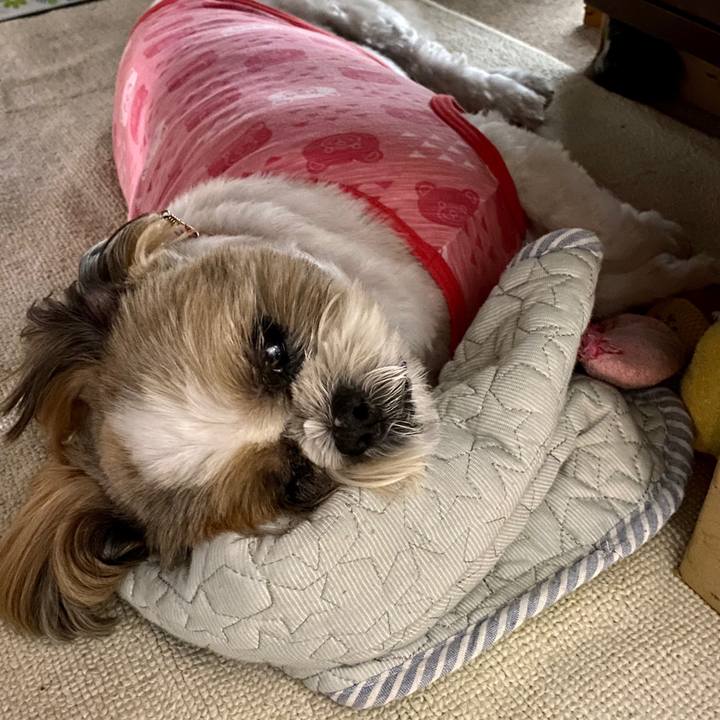 D2bdfde2 7882 4d12 bb35 ef8efd9e3002 1600047071510