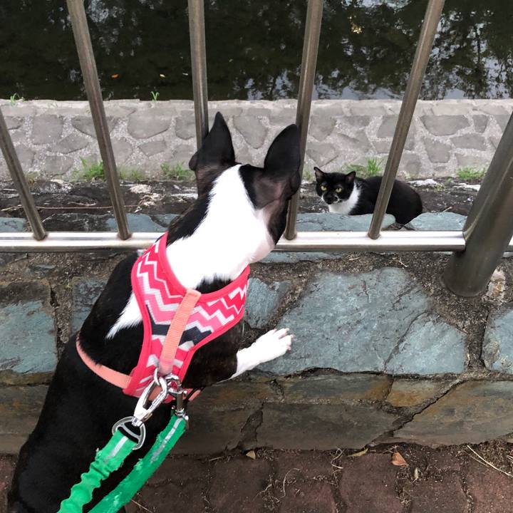 D2be1f5a 79b0 452e 9f83 bdadca2eab68 1567836261574