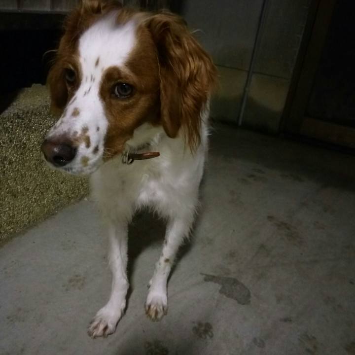 D2be40ce 959b 4417 b9e7 c7af2a969565 1508144226413